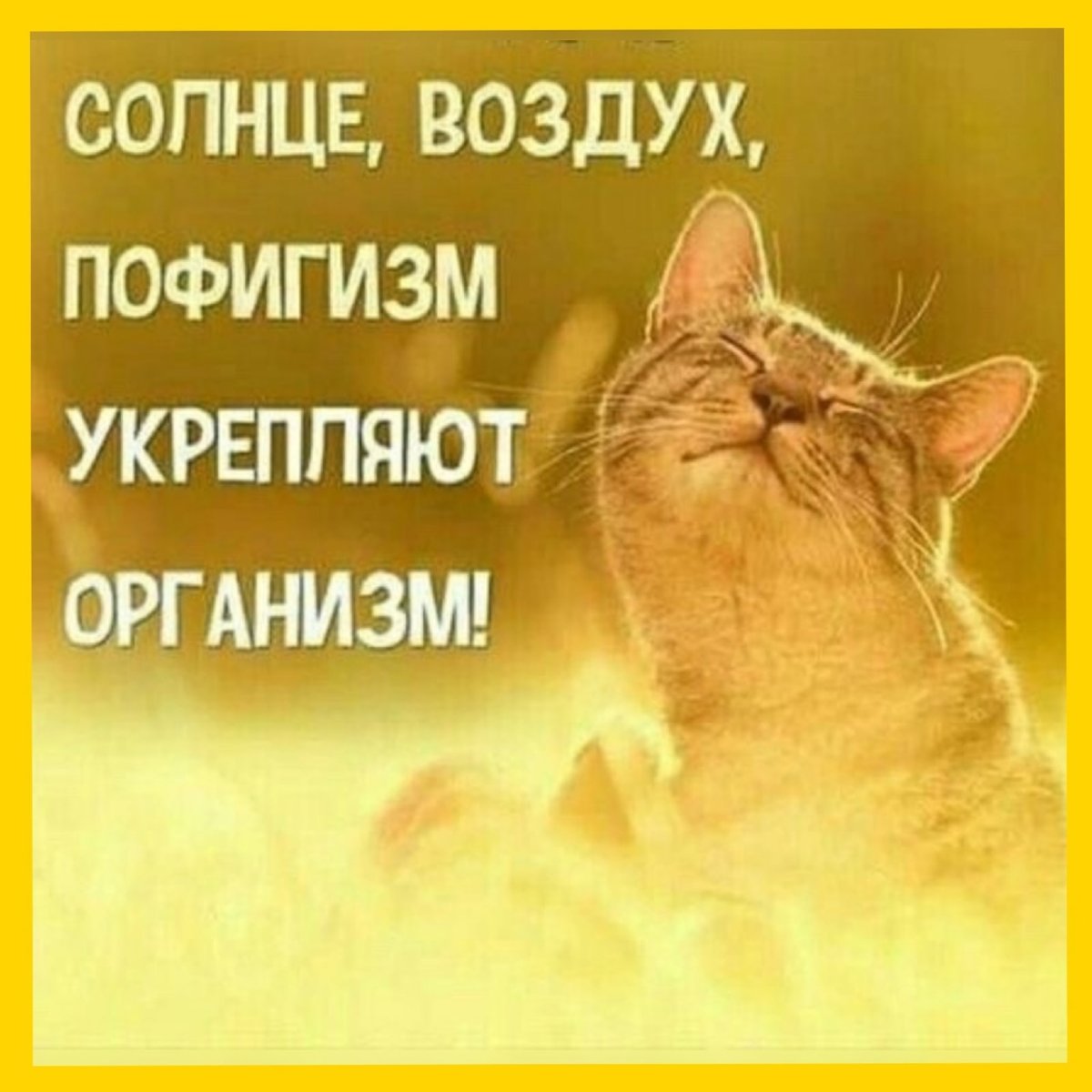 Солнце воздух пофигизм