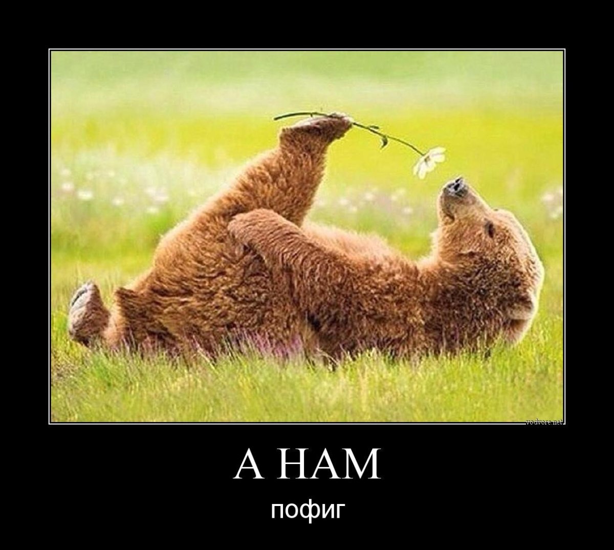 Открытки хорошего вечера прикольные