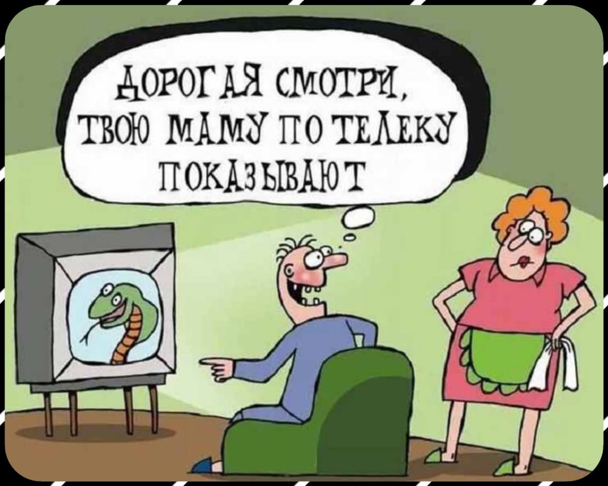 Анекдоты про тёщу смешные