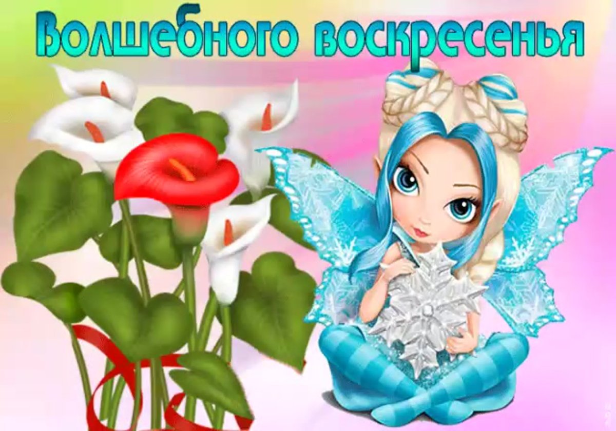 Волшебного воскресного дня