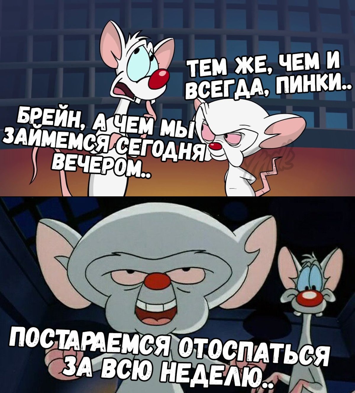 Пинки и Брейн приколы