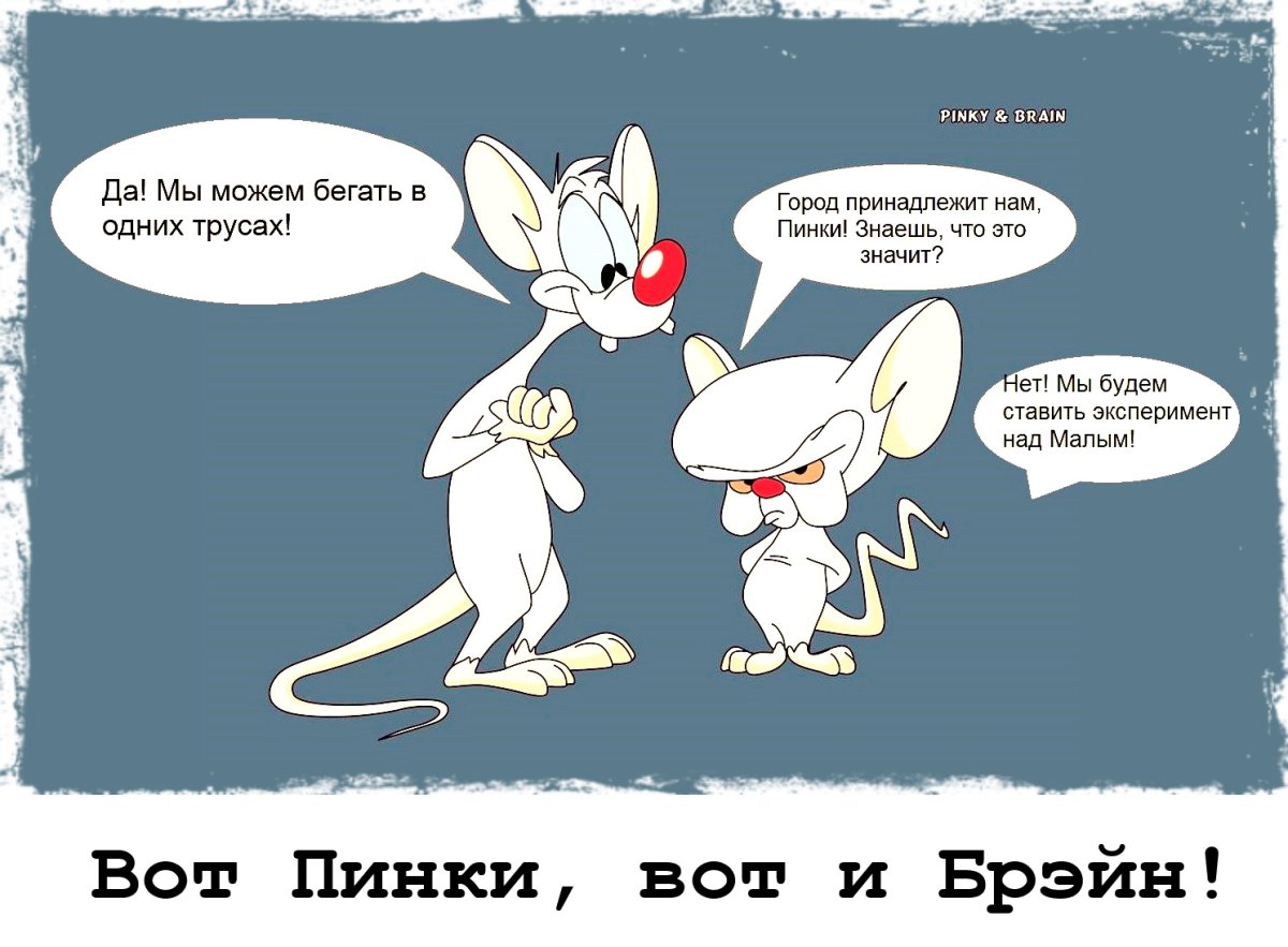 Пинки и Брейн 1995