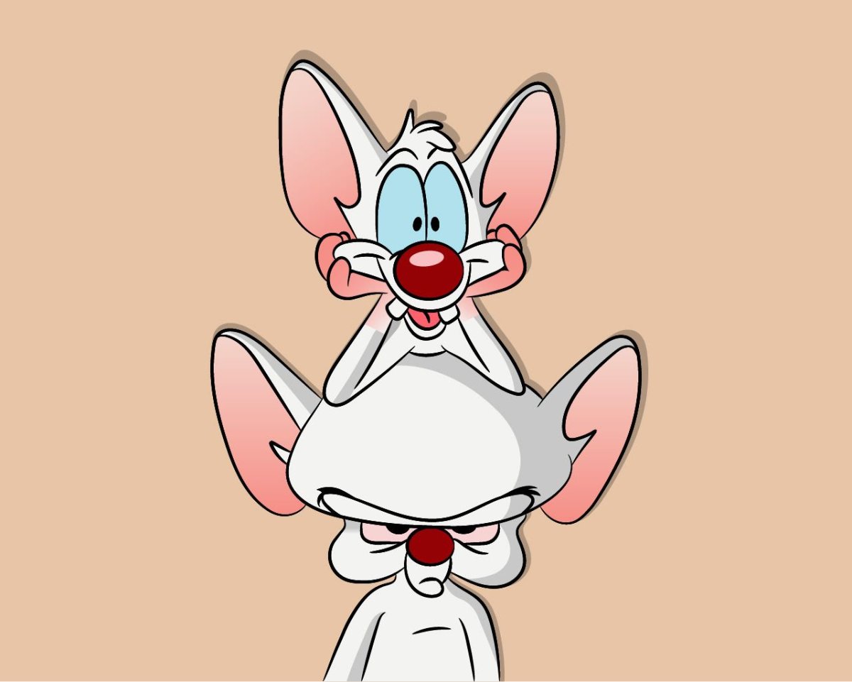 Пинки и Брейн заставка