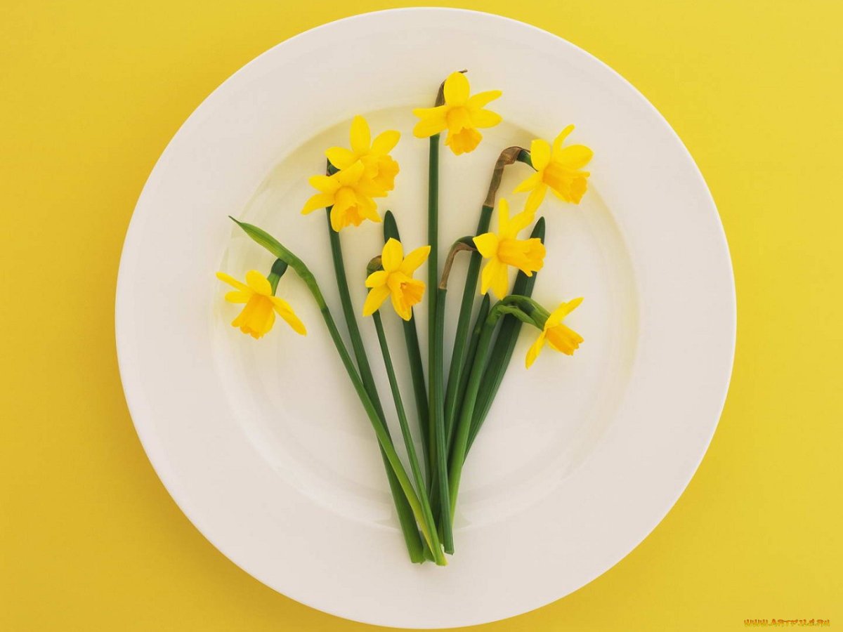 Сервировка с нарциссами
