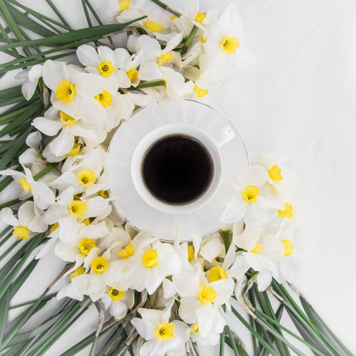 С добрым утром нарциссы