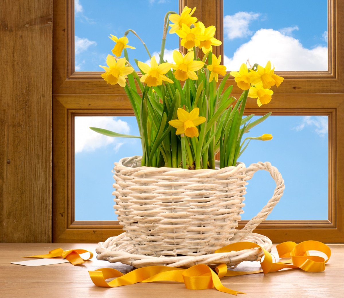 Желтые цветы на подоконнике