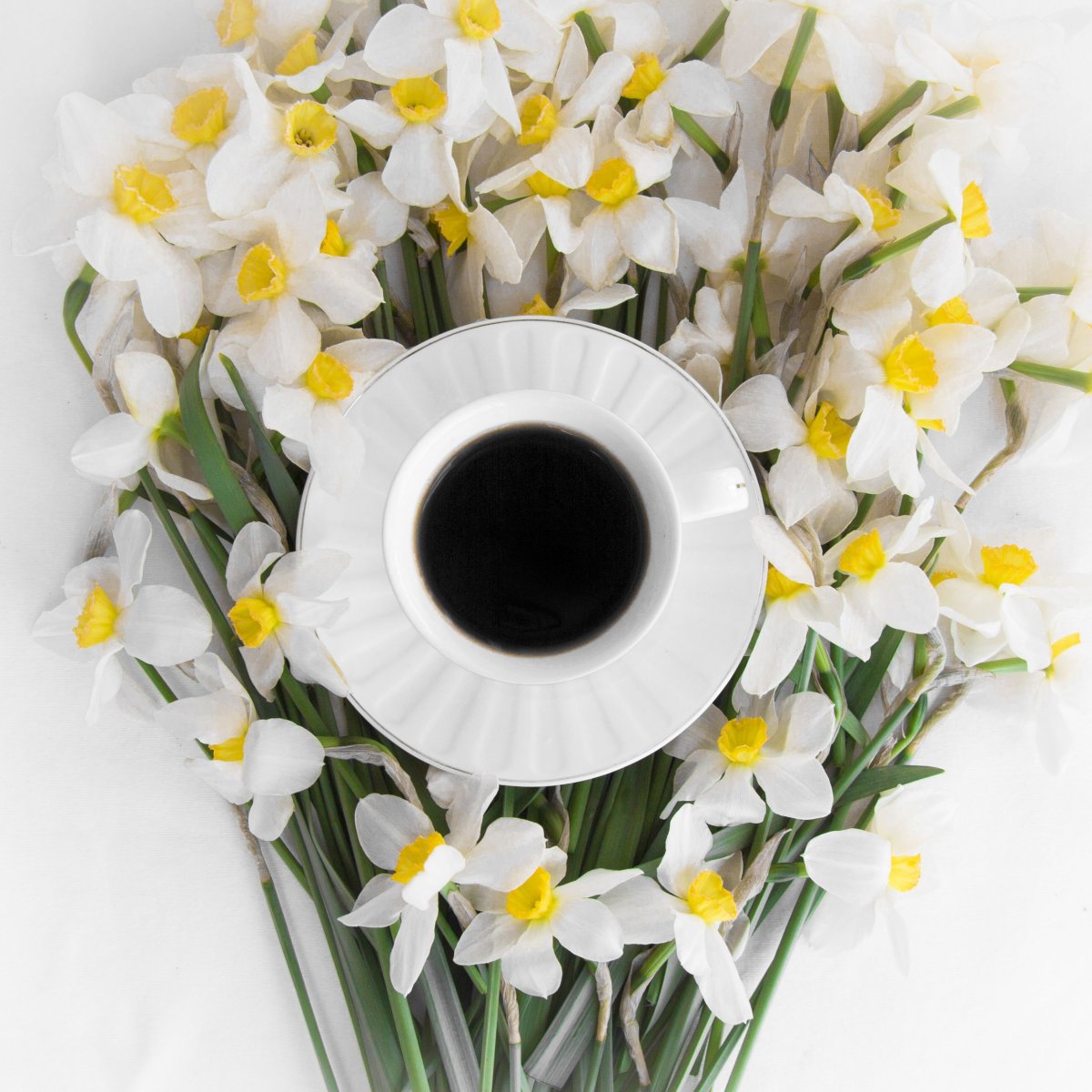 Доброе утро цветы нарциссы