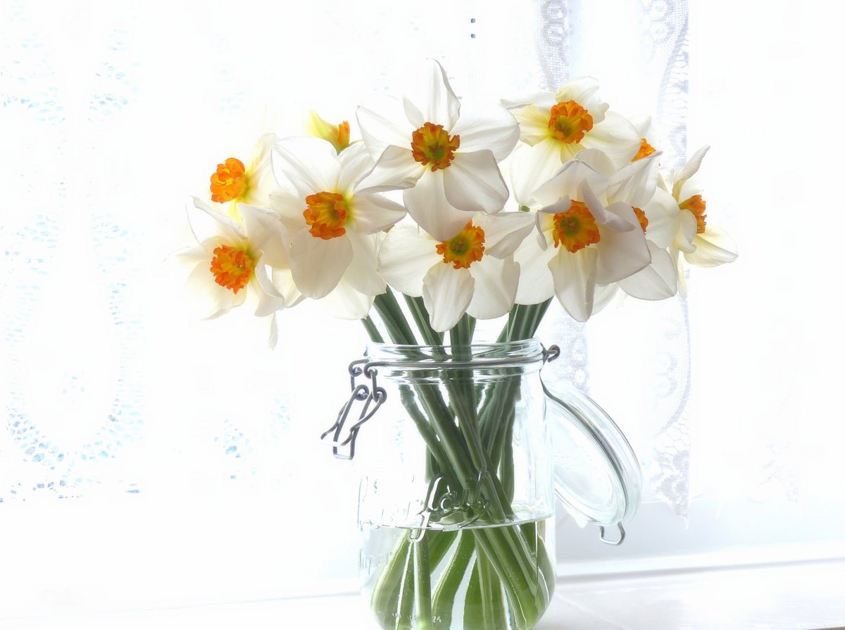 Нарциссы в вазе