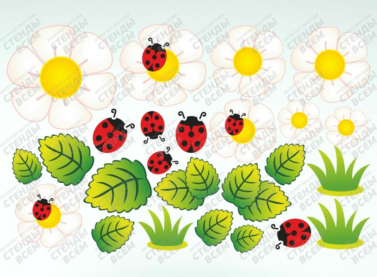 Бабочка раскраска для детей