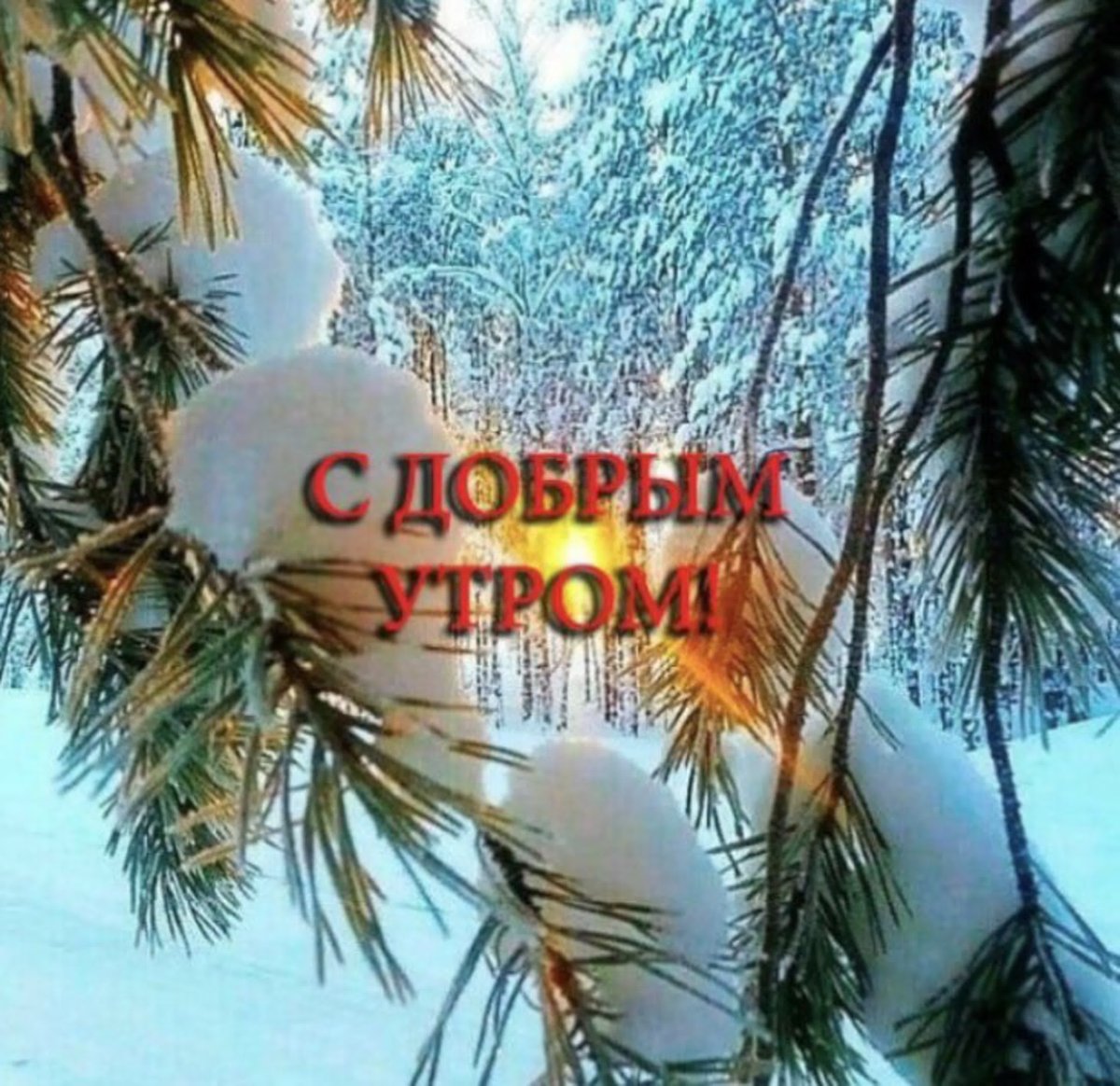 Добречкого зимнего утра