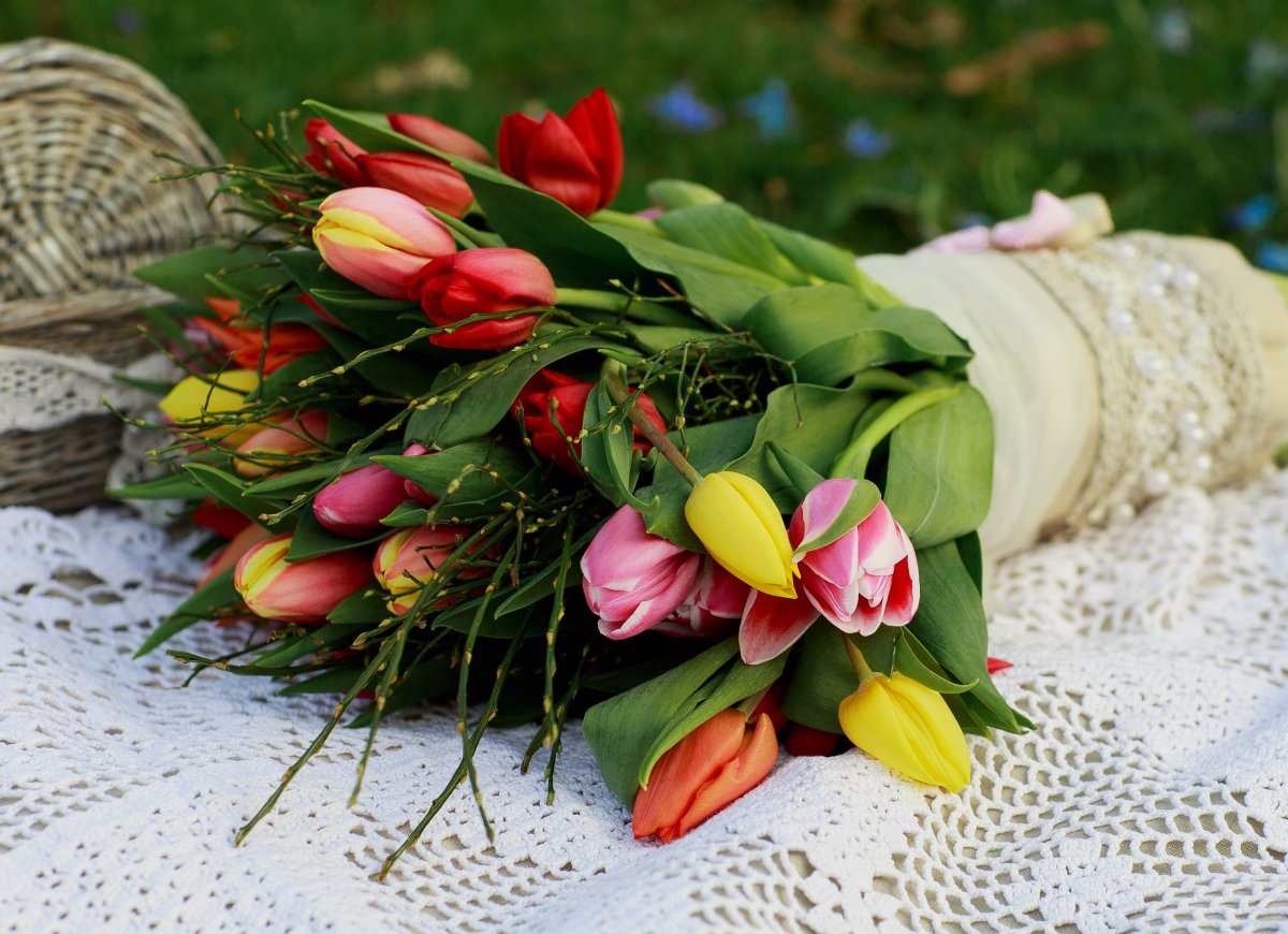 Тюльпаны в чашке