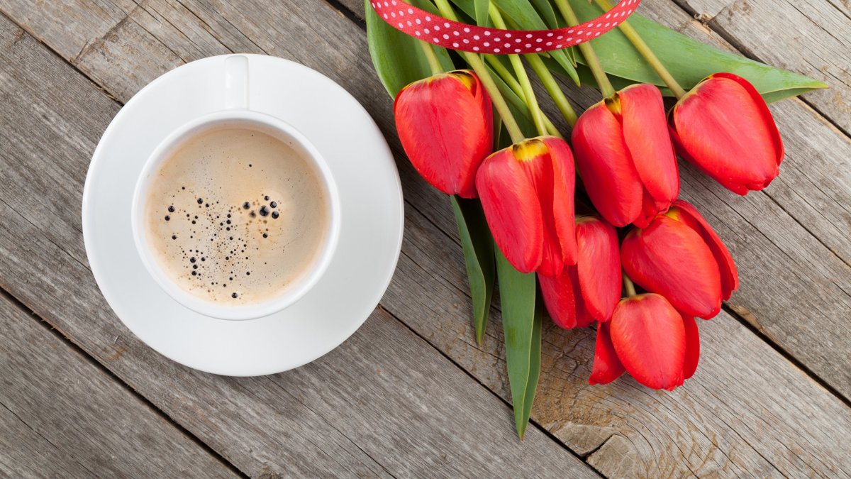 Букет тюльпанов для любимой