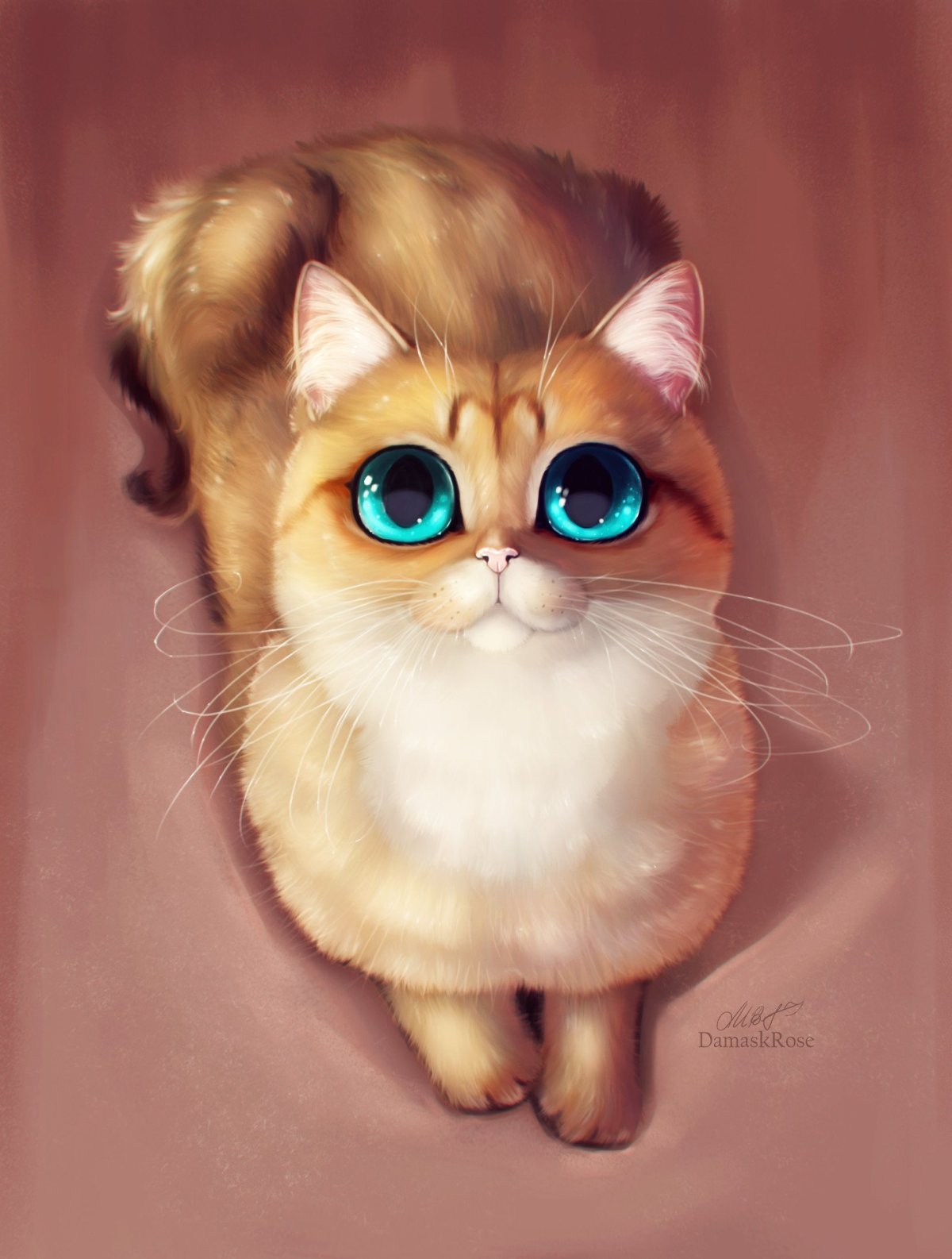 Милые котики