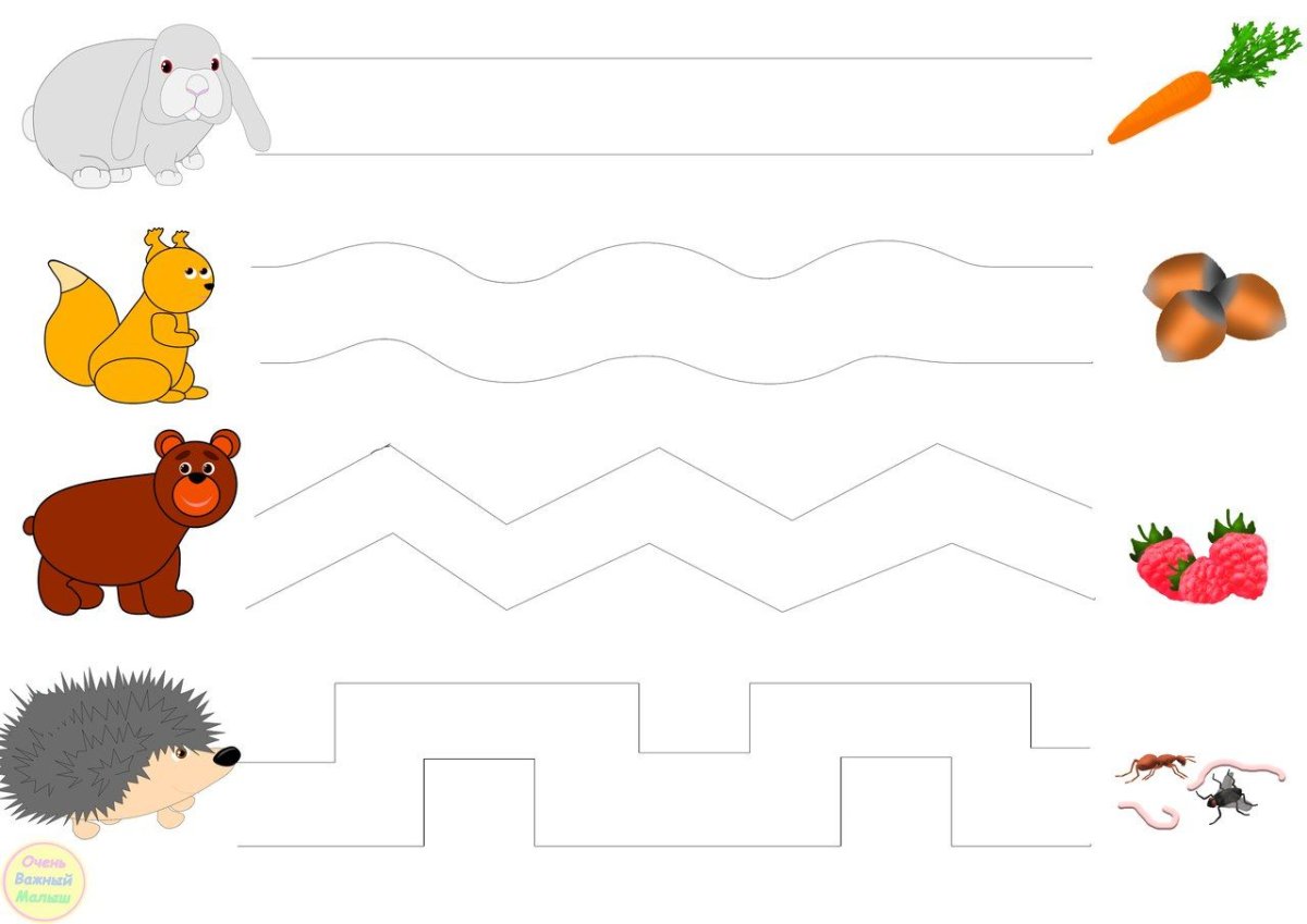 Тропинка для детей