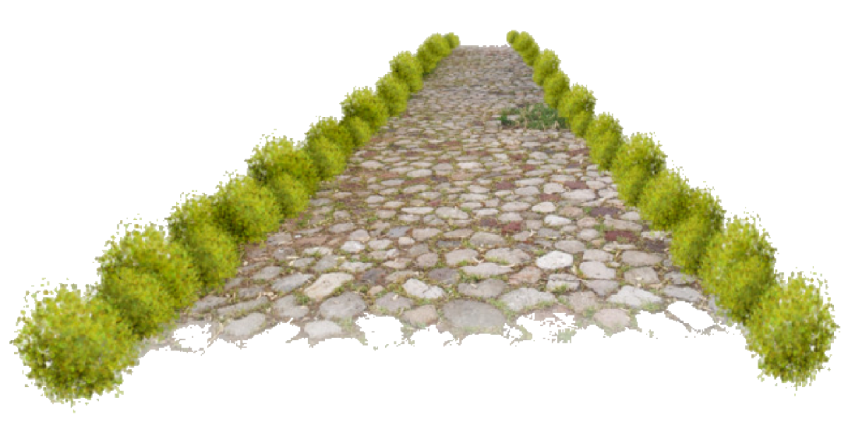 Лестница на белом фоне