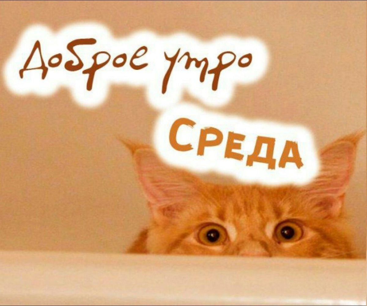 Открытки со средой