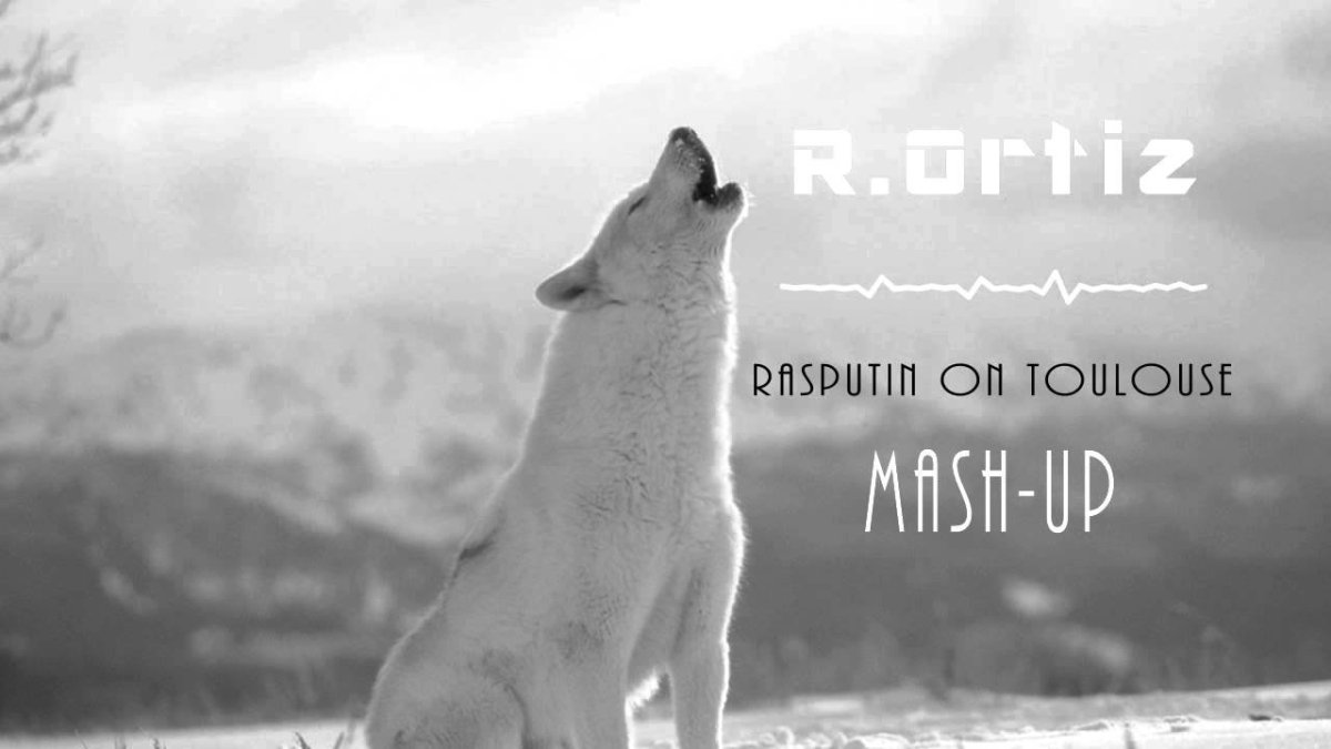 Когда волки добреют шакалы борзеют