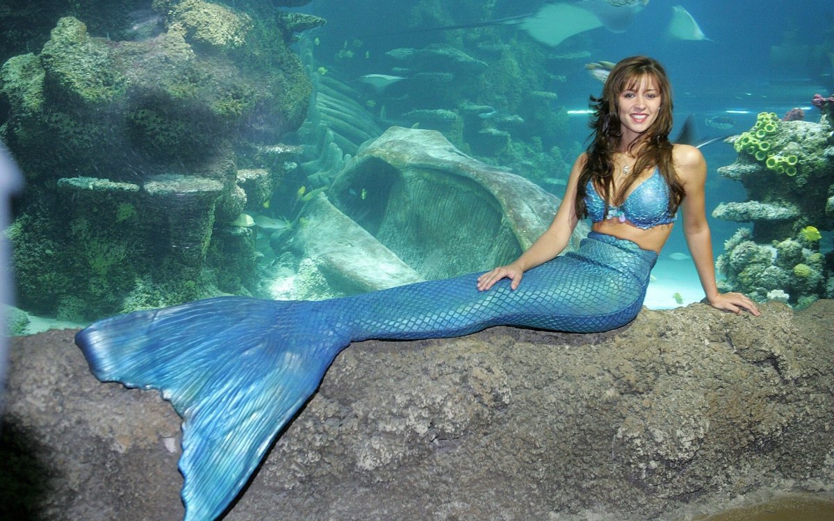 Scott певица Mermaid