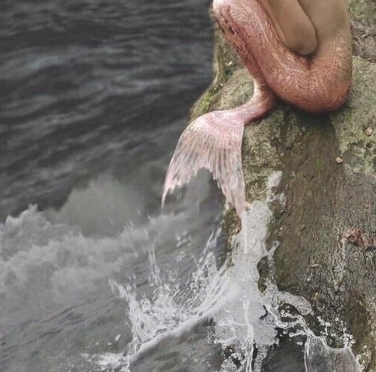 Sirena хвост русалки