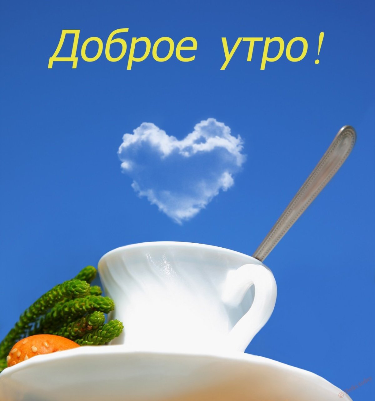 Доброе утро вторника