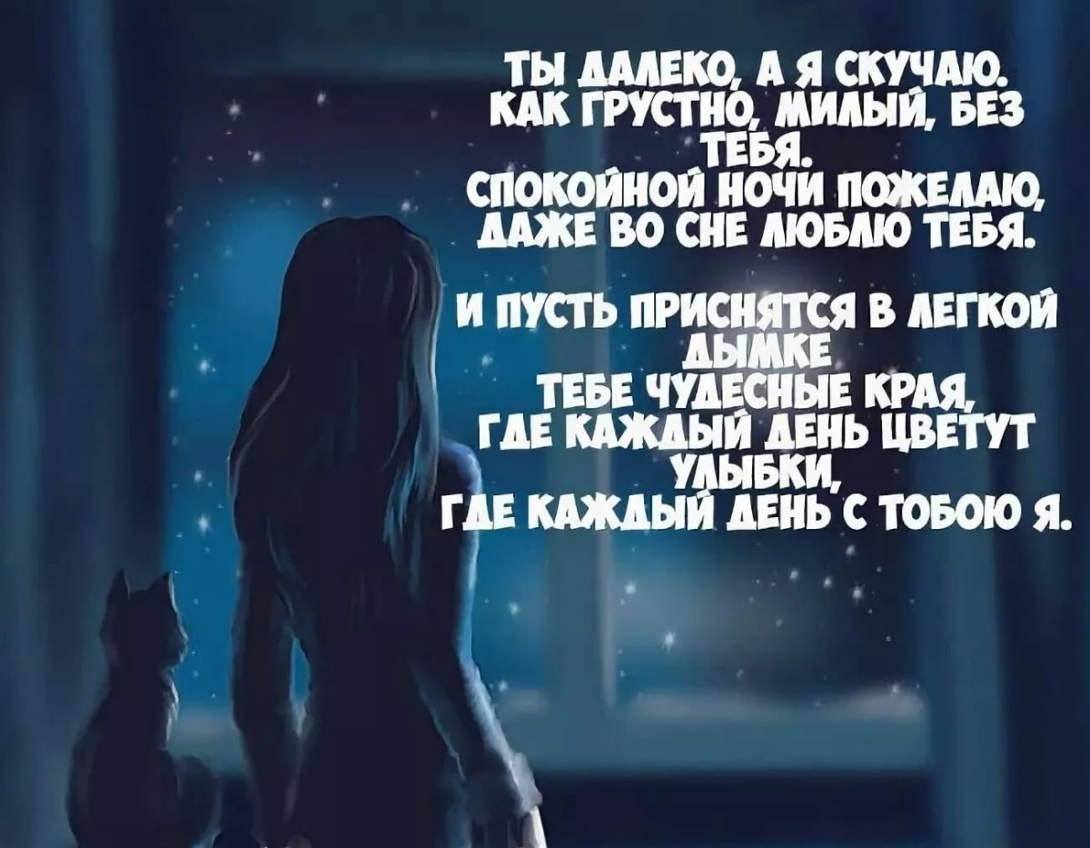 Спокойной ночи друзья