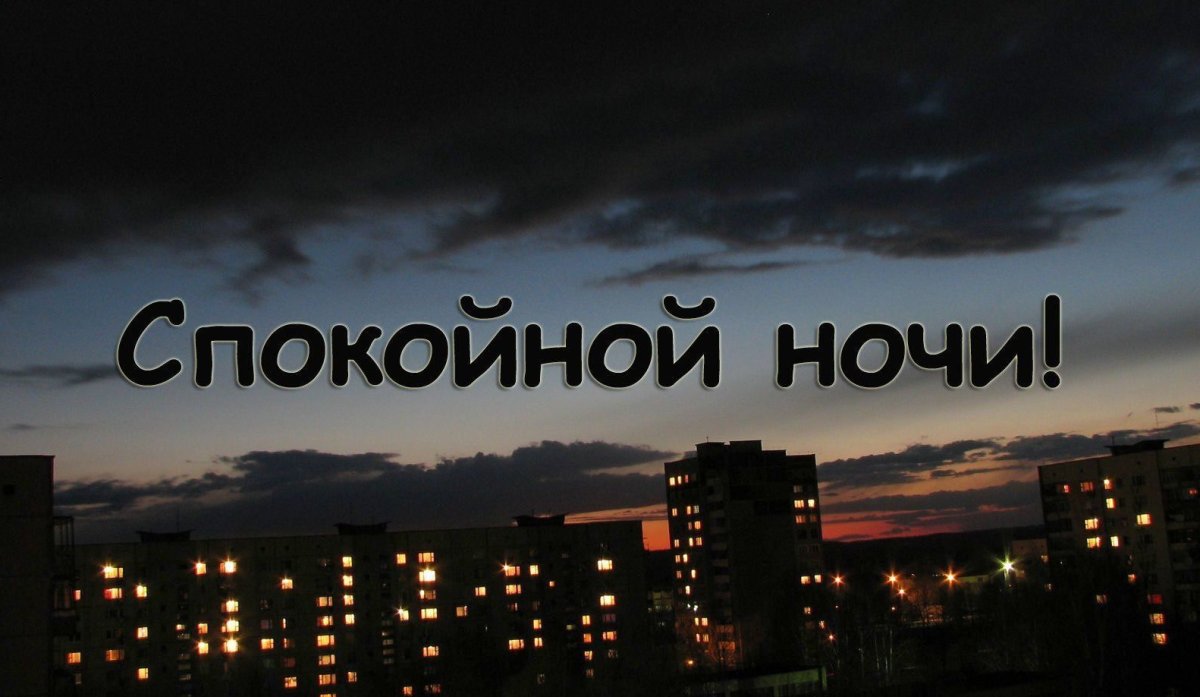 Девушка с котом у окна