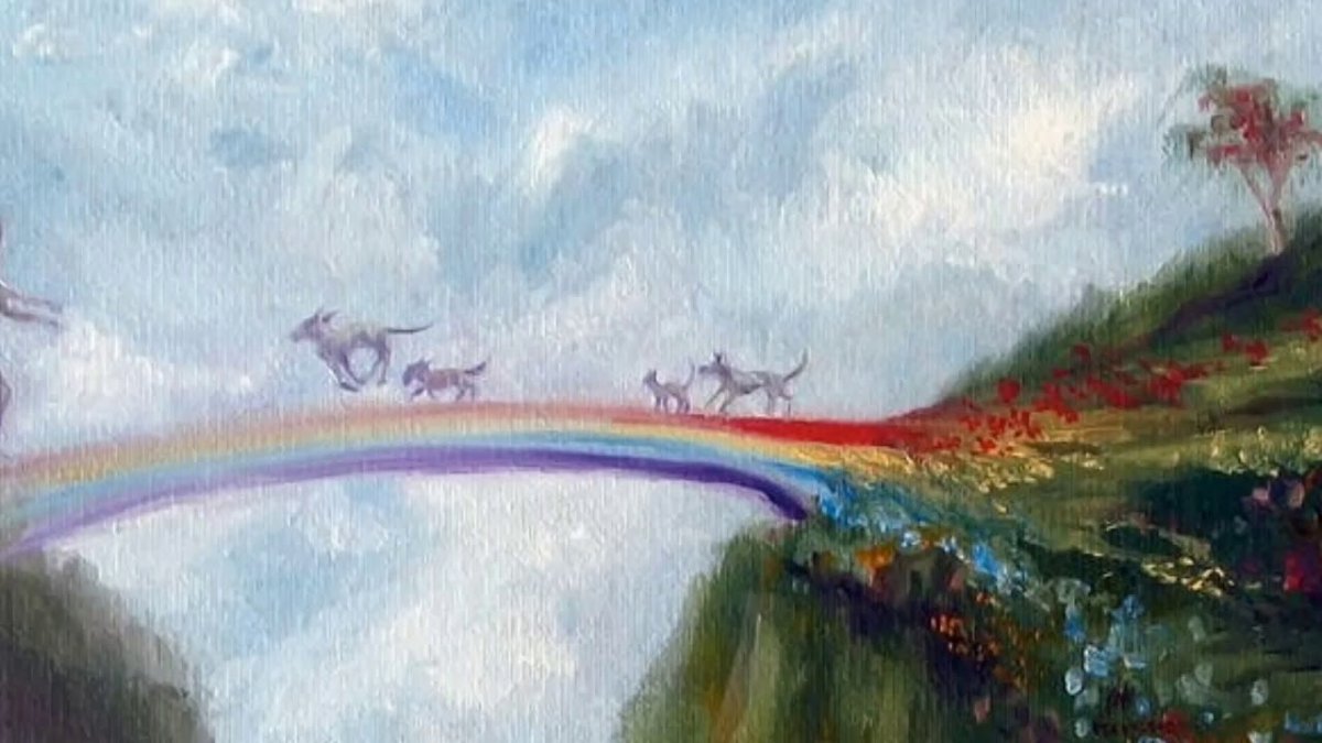 Мост радуги рай для животных