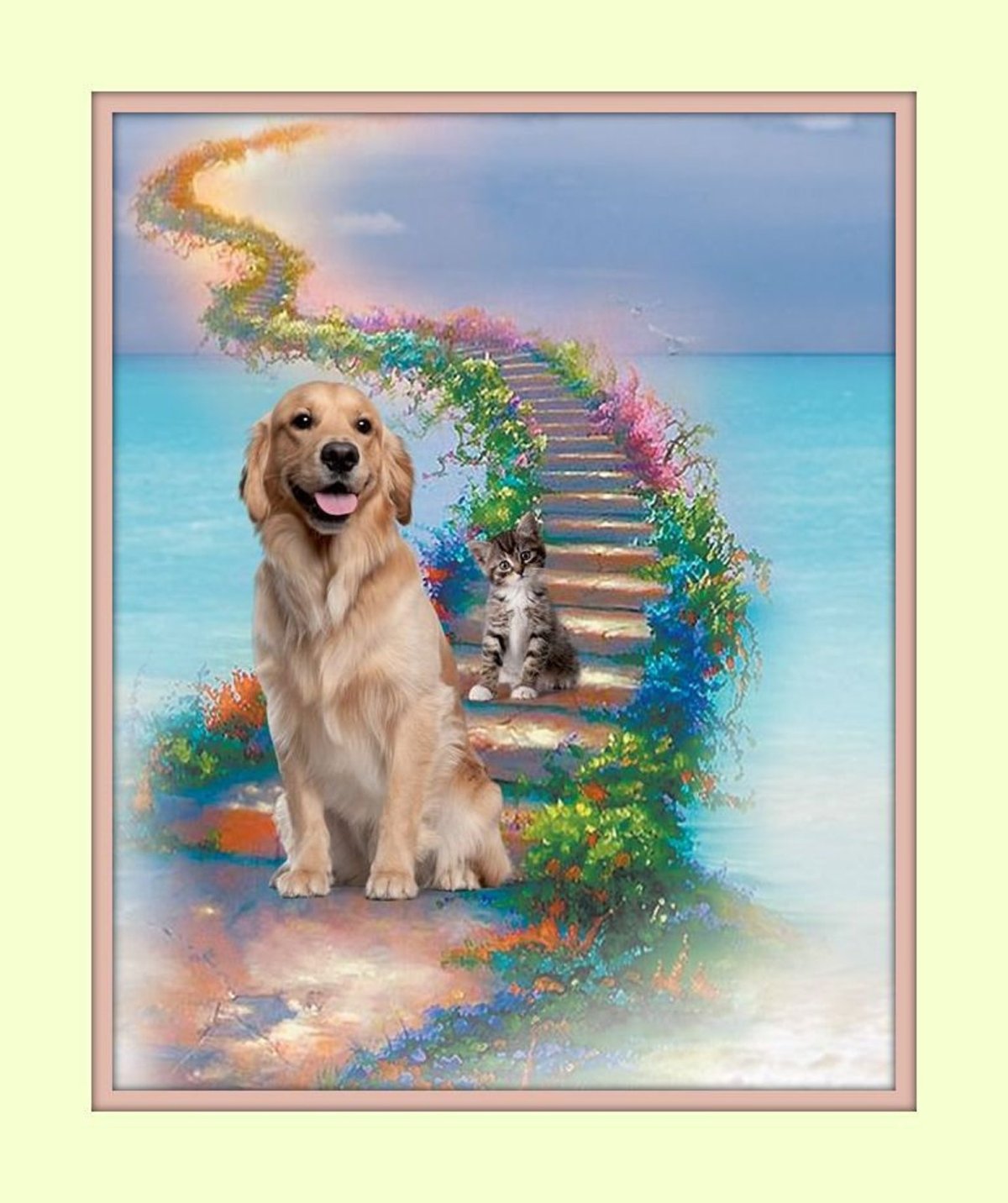 Беги на радугу собака