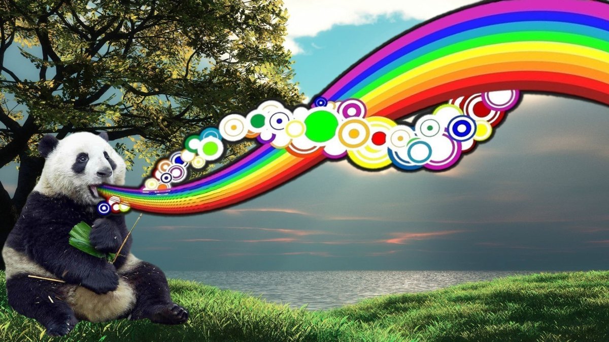 Панда и Радуга