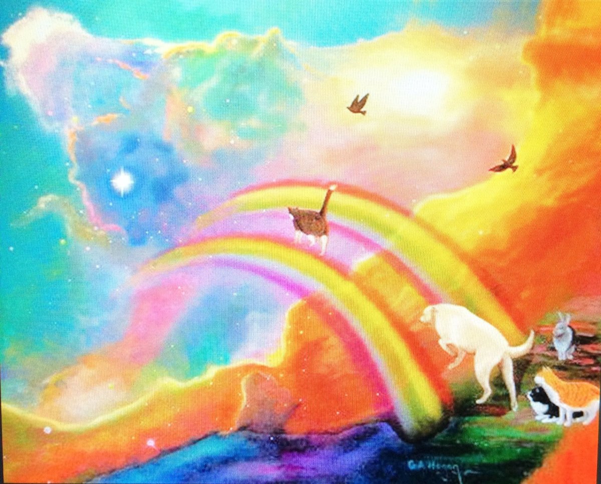 Собака на радуге картинки