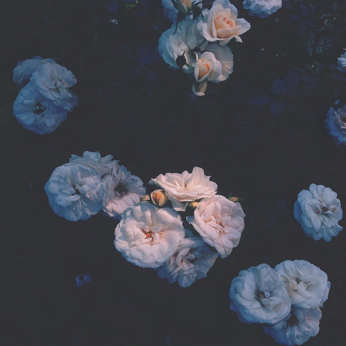 Серо голубая Эстетика