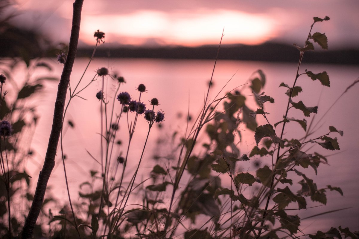 Эстетика синего и голубого