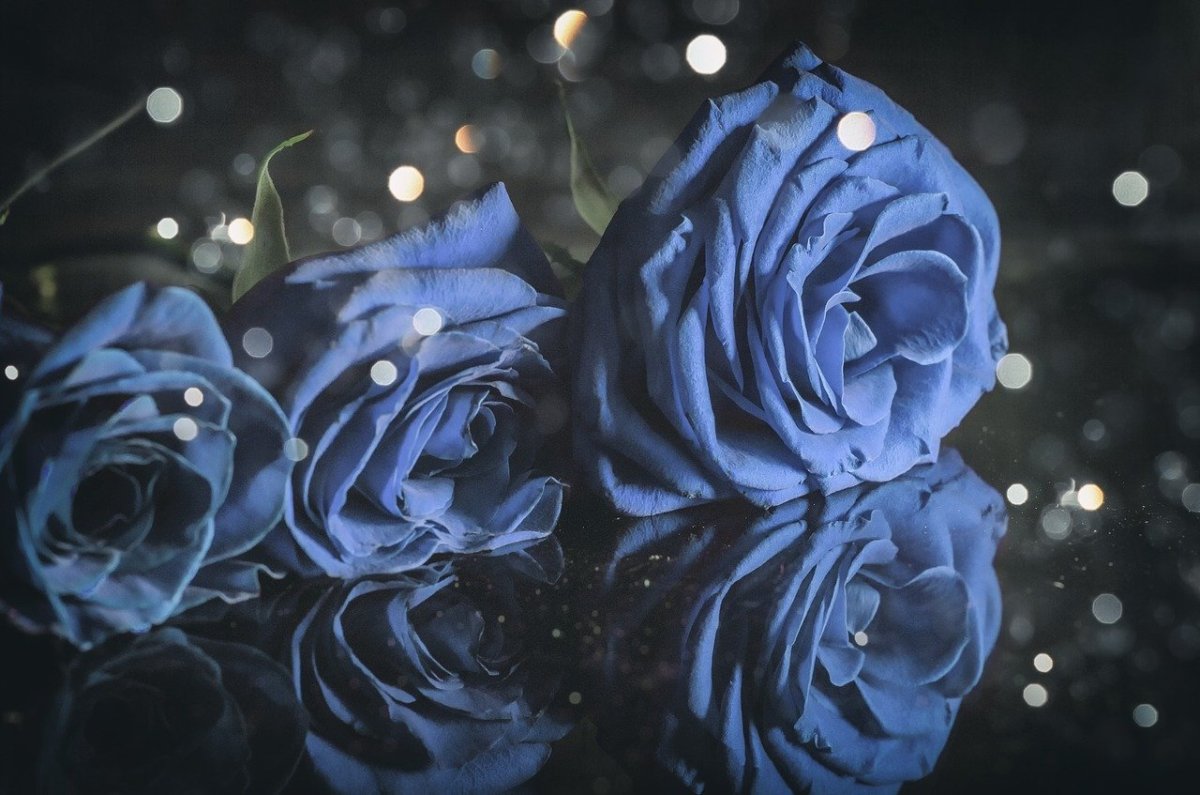 Alice Blue Color Эстетика