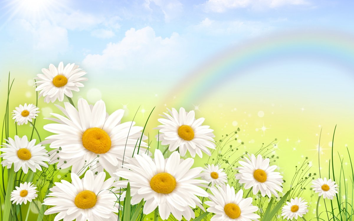 Красивое солнышко