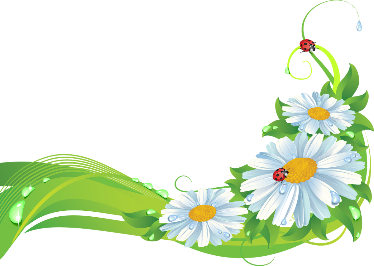 Группа Ромашка в детском саду