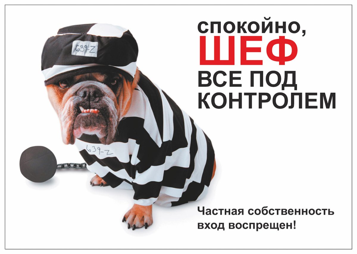 Все под контролем