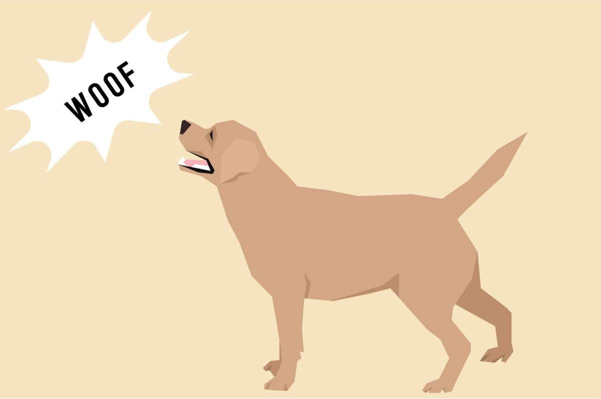 Лай собаки картинка для детей