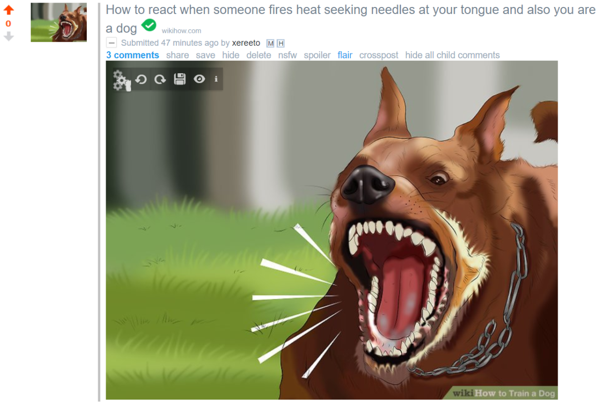 Шавка гавкает