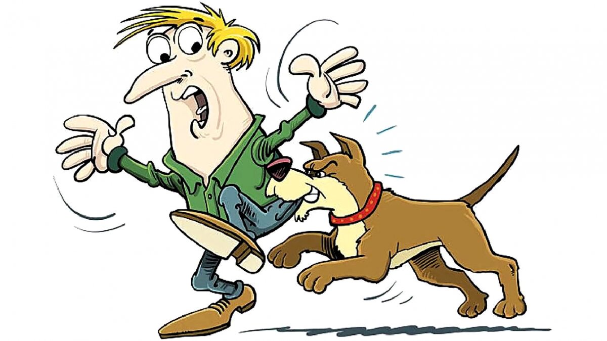 Картина укусила собака