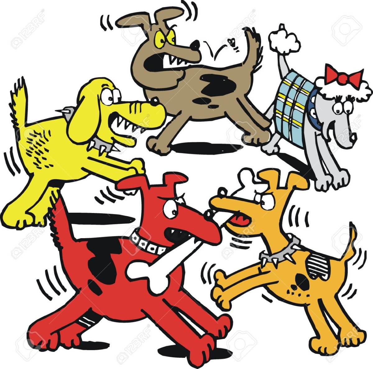 Собаки грызутся за кость