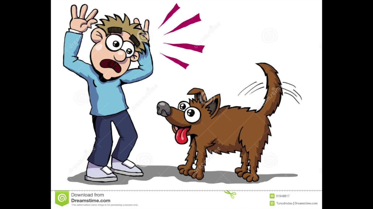 Мальчик испугался собаки