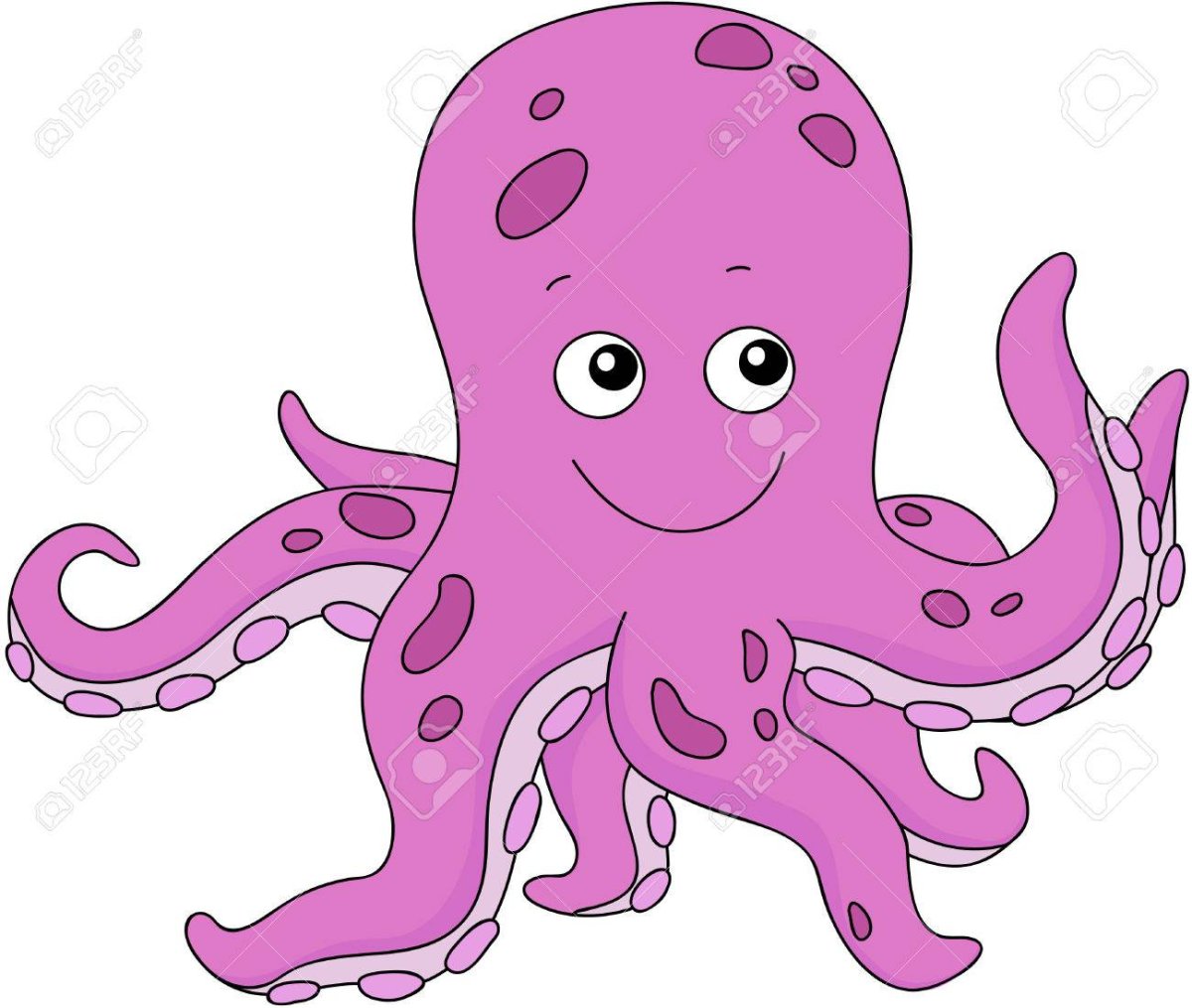 Улыбчивый осьминог