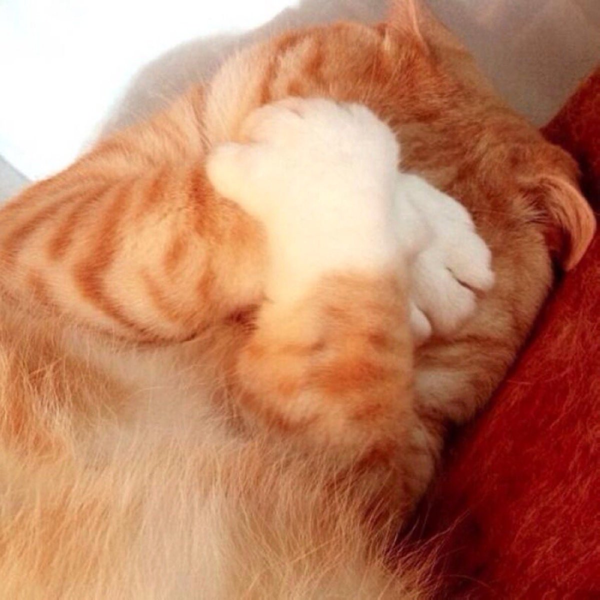 Ребенок смущается