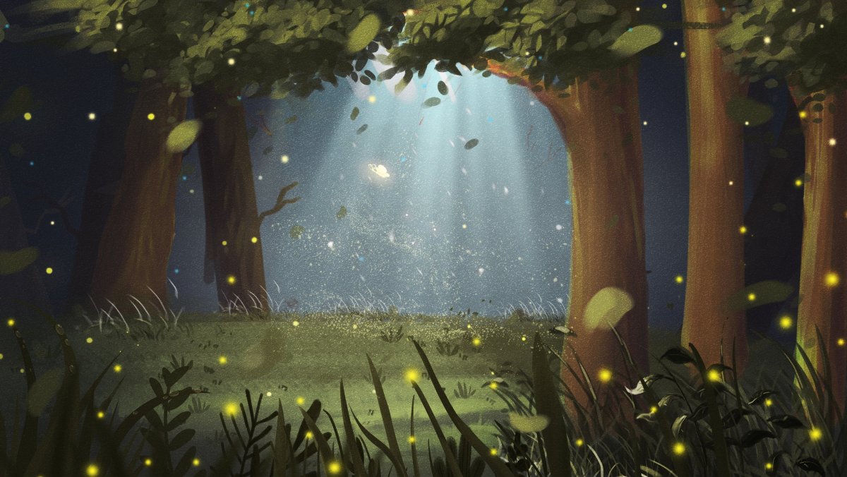 Волшебный лес