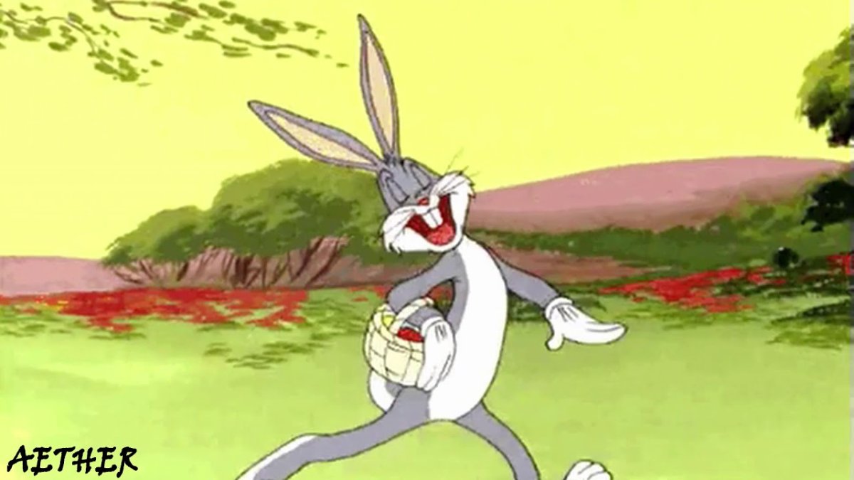 Bunny анимация