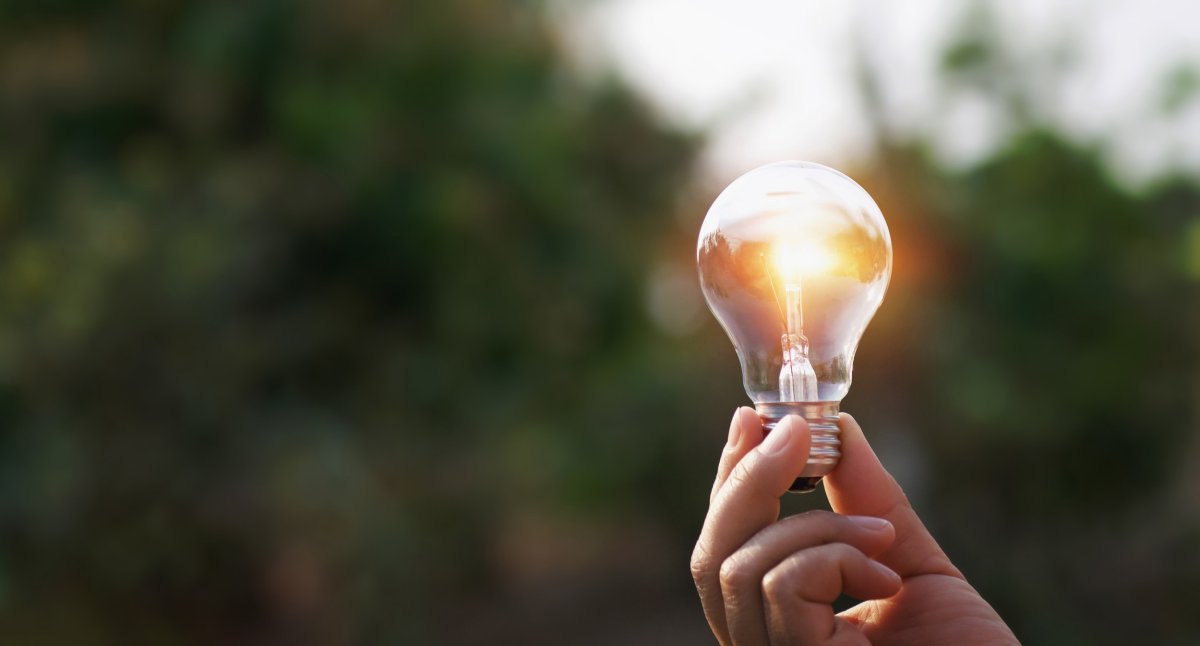 В руках лампа с природой