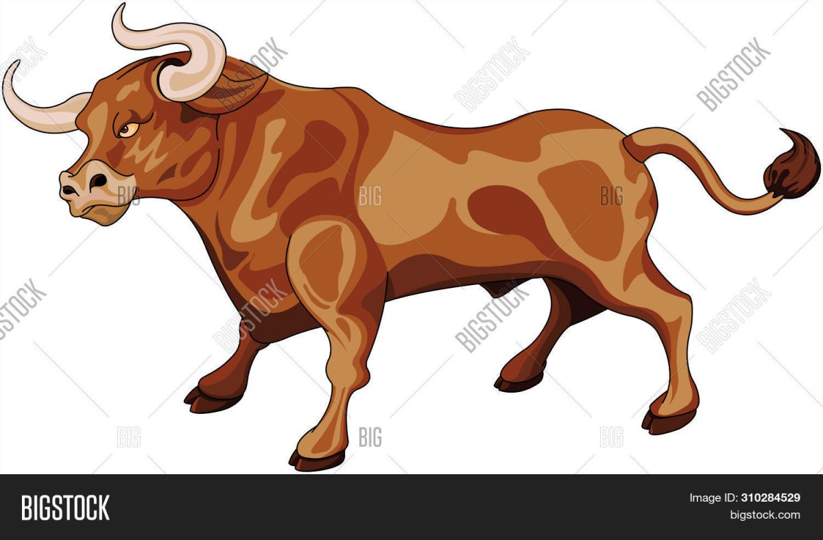 Бык на белом фоне для детей