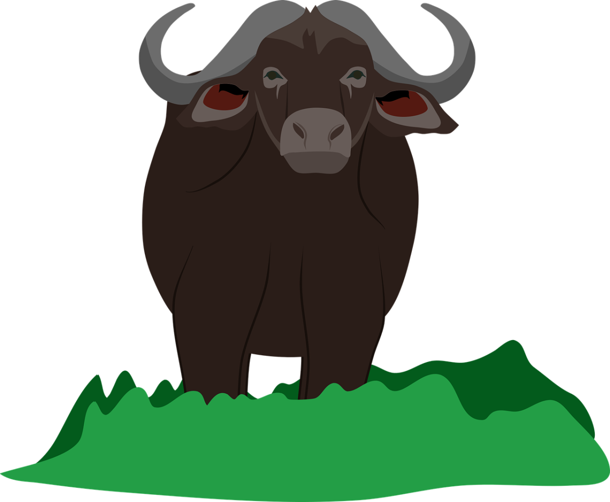 Буйвол для детей