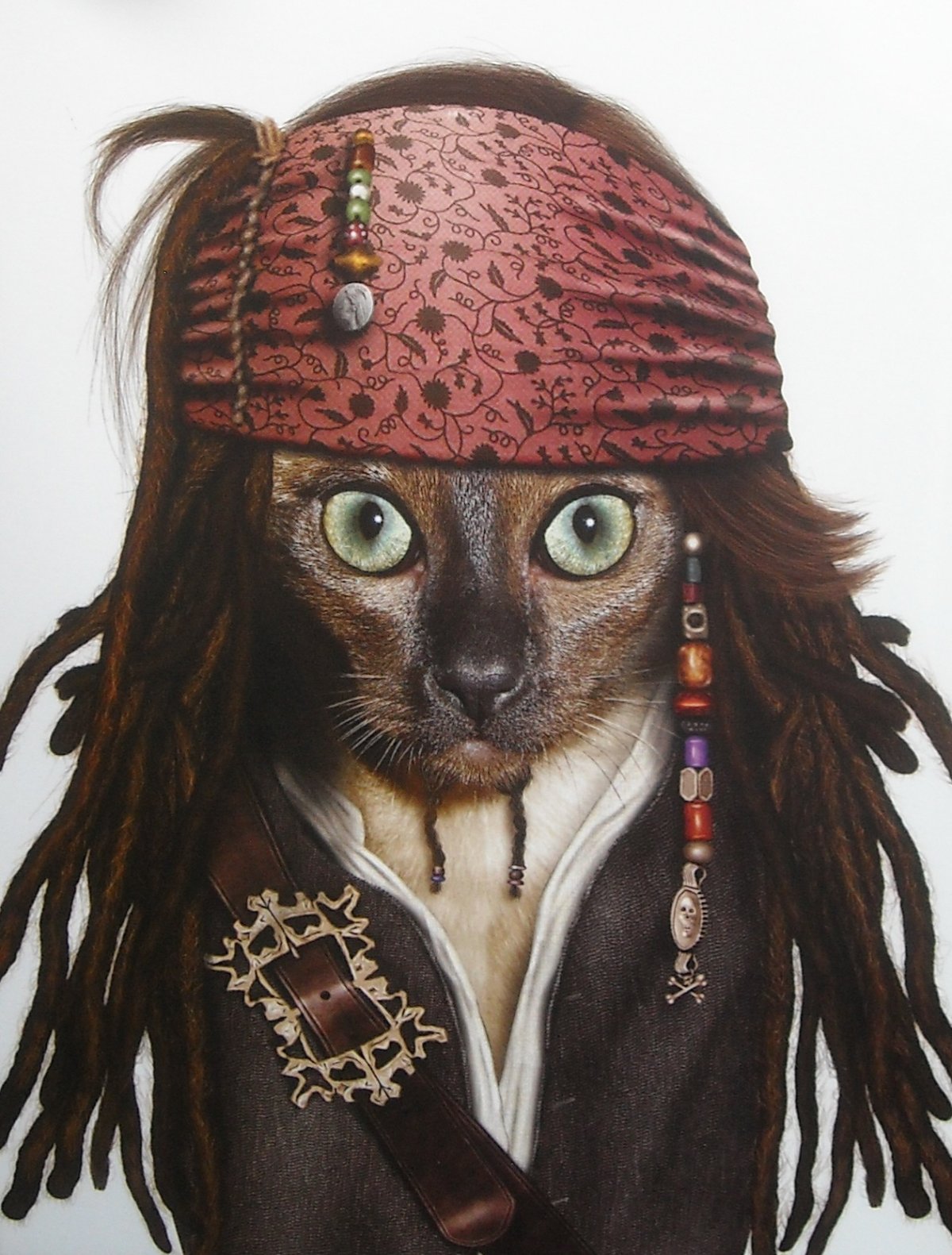 Роберт Дауни младший Джек Воробей