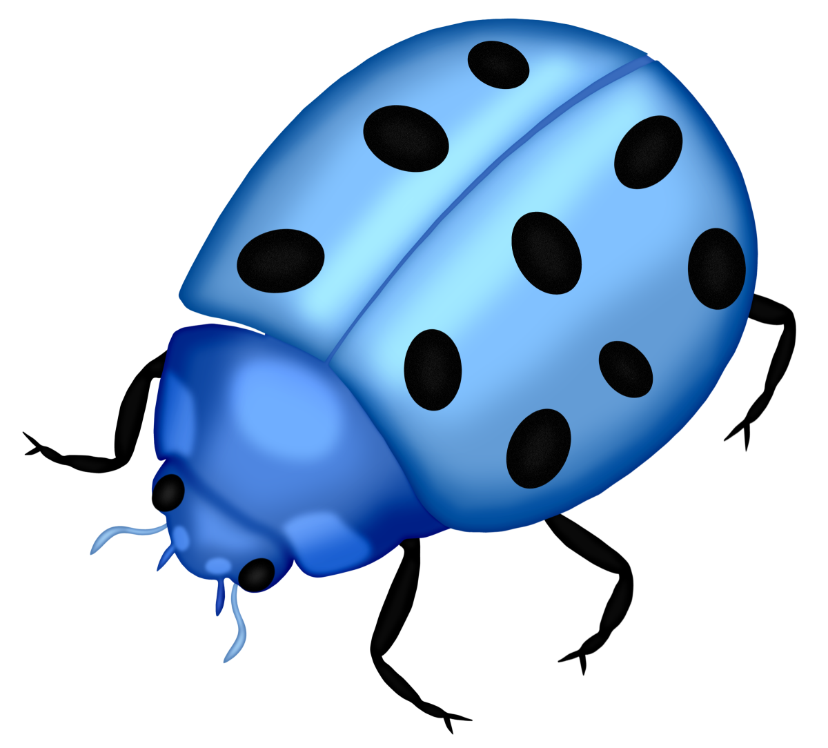 Жучки для детей